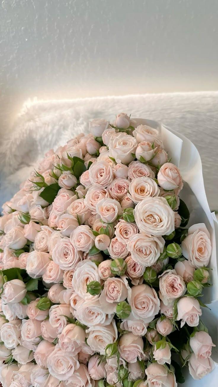 Enchanted Blooms of Serenity Garden
